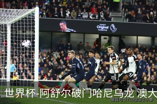 世界杯-阿舒尔破门哈尼乌龙 澳大利亚1-1埃及进加时