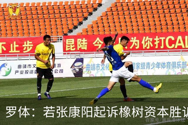 罗体：若张康阳起诉橡树资本胜诉，最高索赔金额可达4.5亿欧