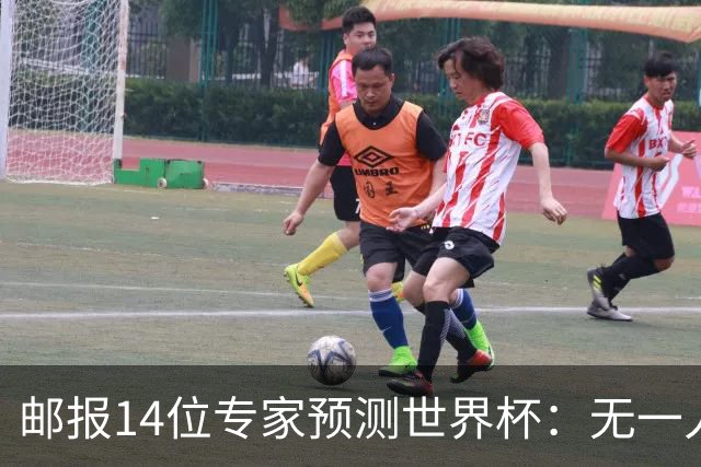 邮报14位专家预测世界杯：无一人看好英格兰队夺冠
