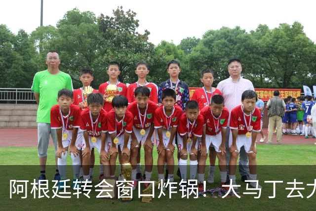 阿根廷转会窗口炸锅！大马丁去尤文，恩佐离队，加纳乔加盟维拉！