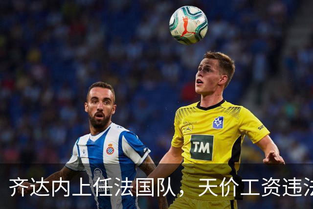 齐达内上任法国队，天价工资违法？部长特批！