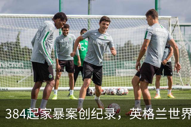 384起家暴案创纪录，英格兰世界杯期间家庭暴力激增