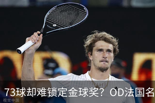 73球却难锁定金球奖？OD法国名宿点出凯恩最大遗憾，世界杯成关键分水岭